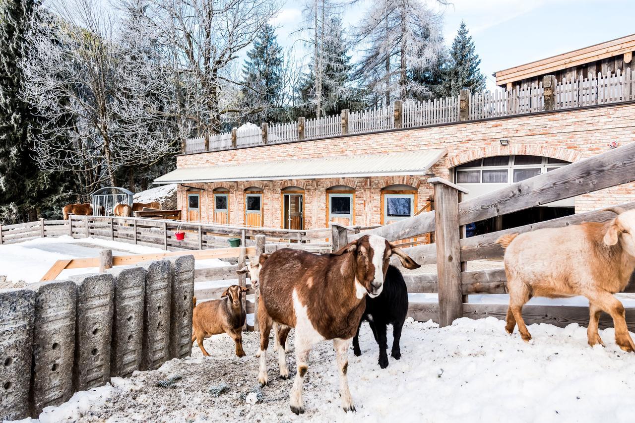 Villa Peakini Farmhaus Untertauern Esterno foto