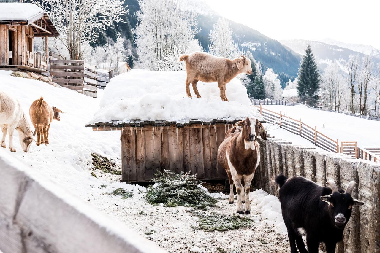 Villa Peakini Farmhaus Untertauern Esterno foto
