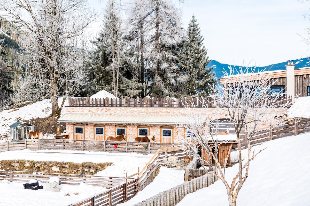 Villa Peakini Farmhaus Untertauern Esterno foto